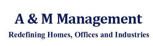 A & M Management